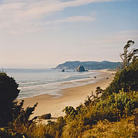 Click for larger view